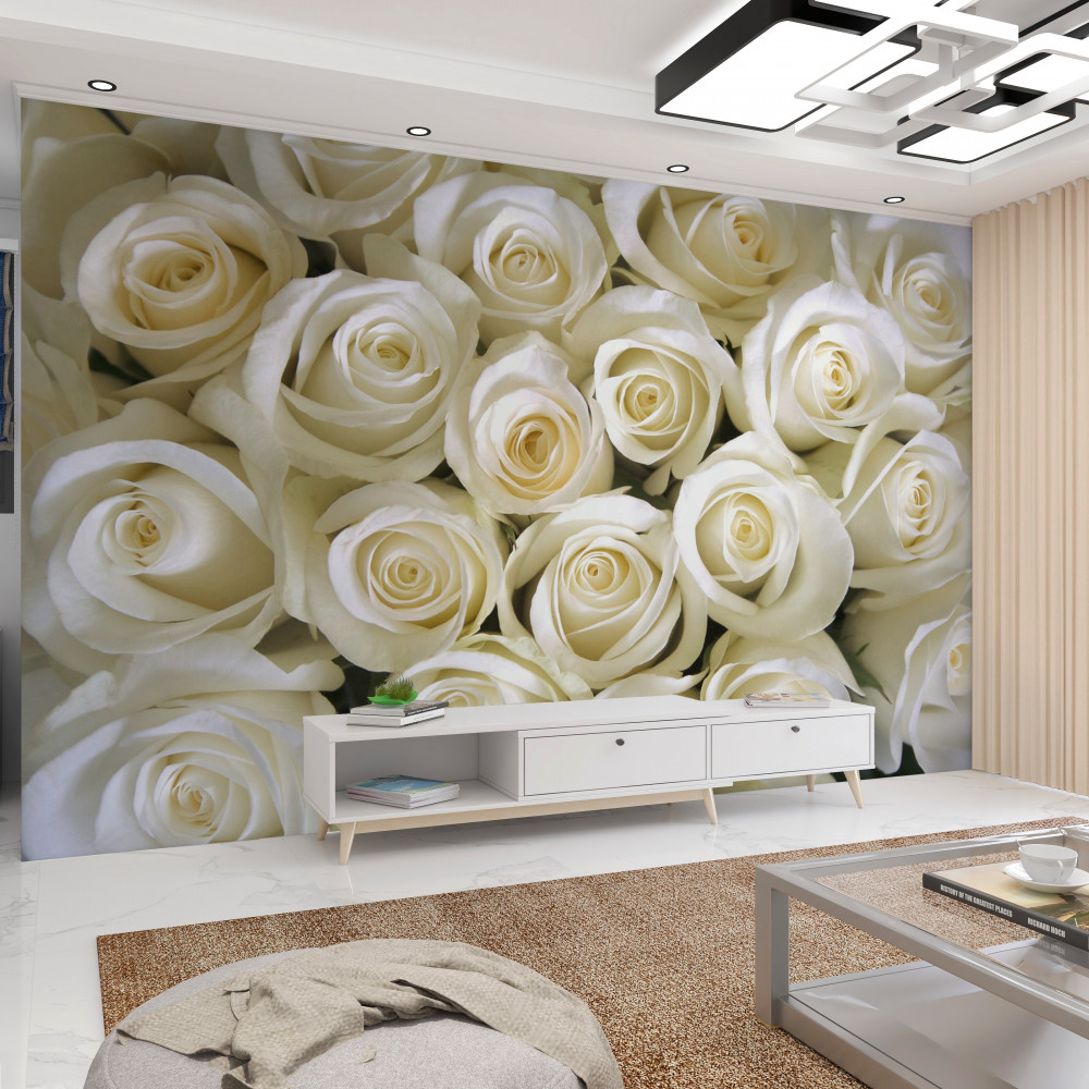 Fototapeta białe pąki róż