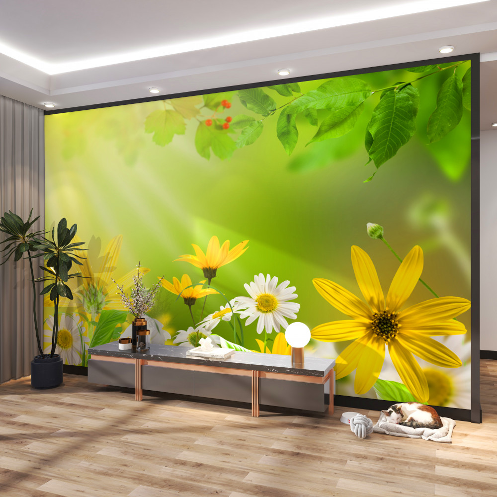 Fototapeta świt na letniej łące