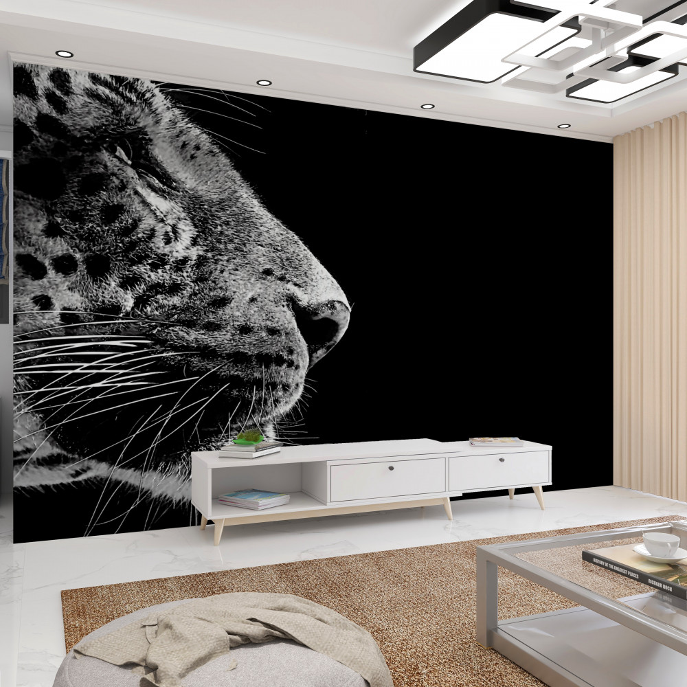 Fototapeta czarno-biały jaguar