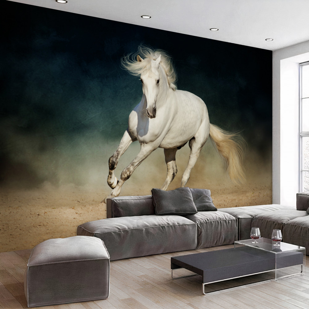 Fototapeta biały koń galopujący po polu