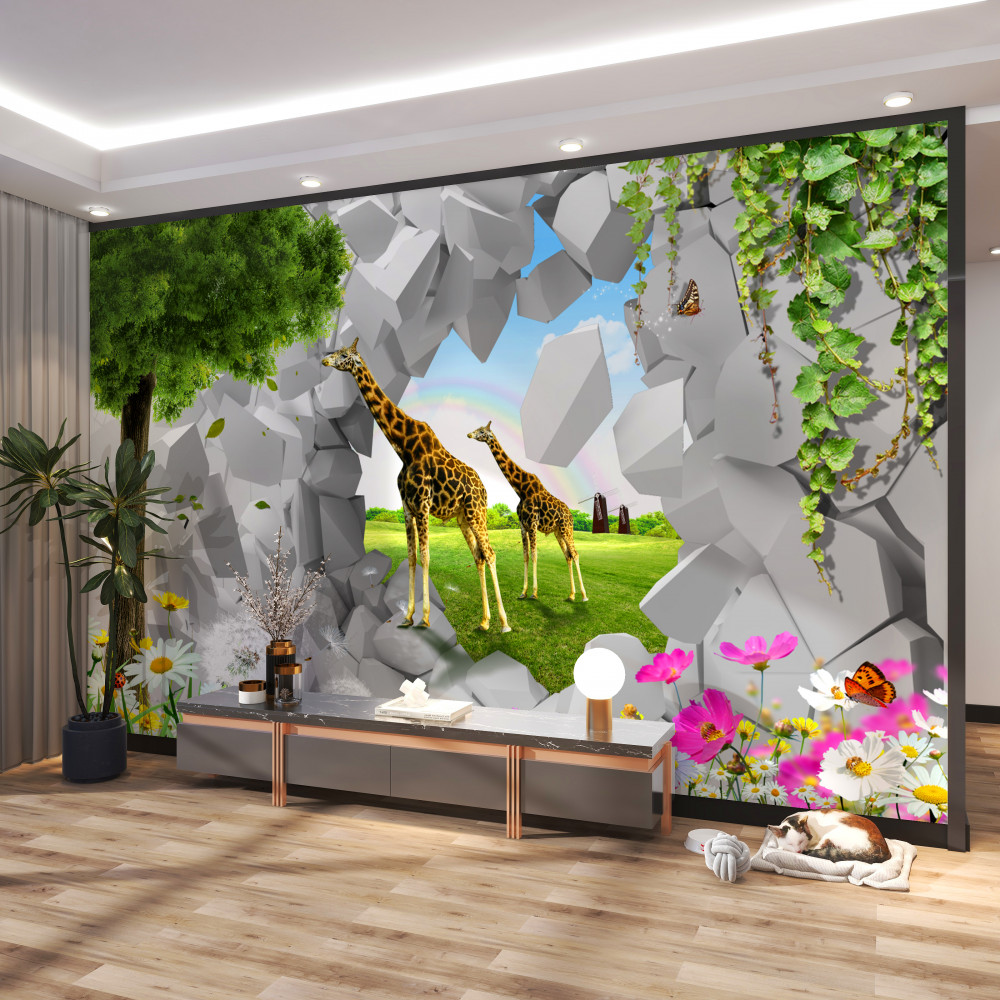 Fototapeta żyrafy w naturze sięgają po drzewo