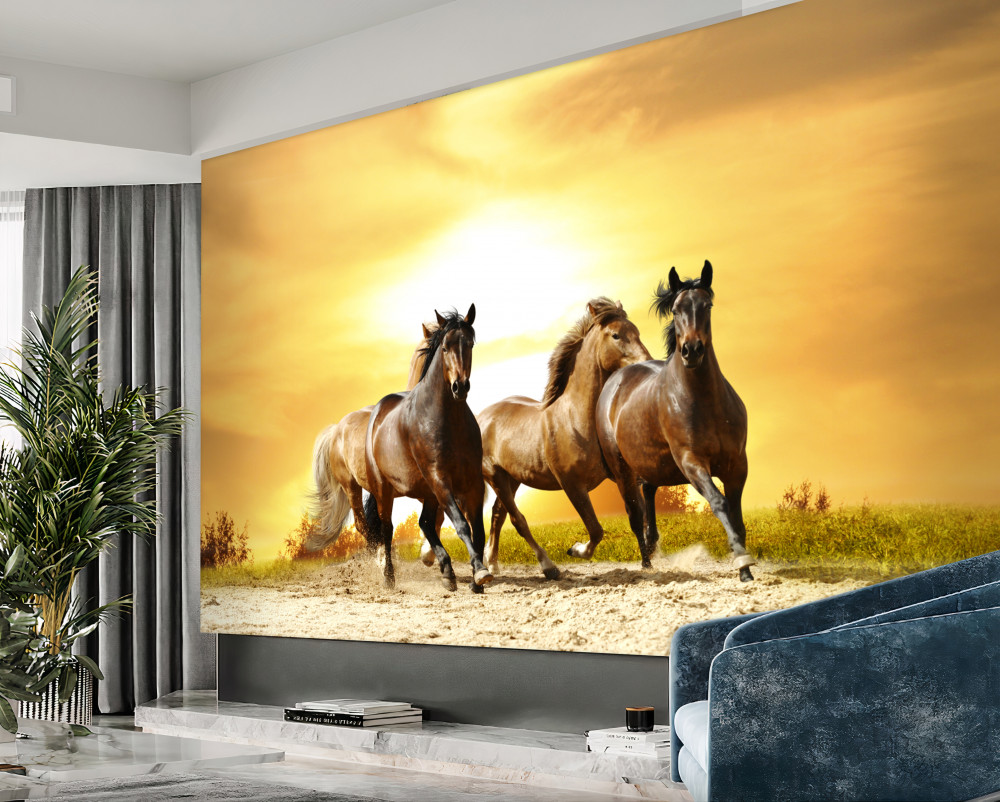 Fototapeta trzy konie galopujące przez pustynię