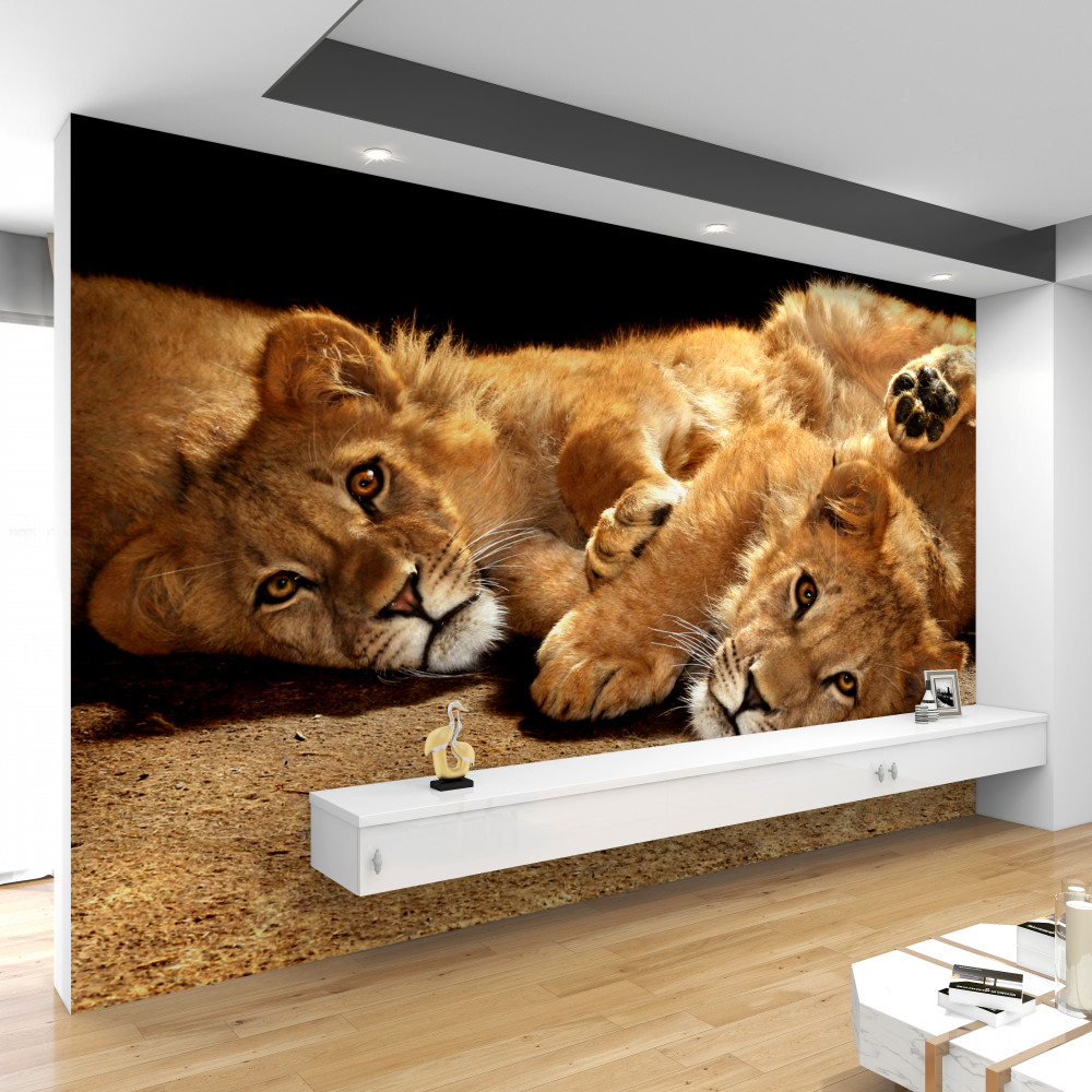 Fototapeta lwiątka bawiące się na ziemi