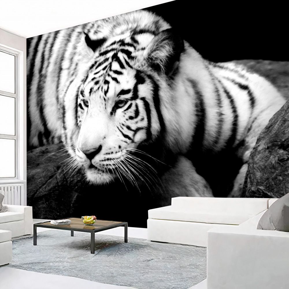 Fototapeta czarno-biały słodki tygrys
