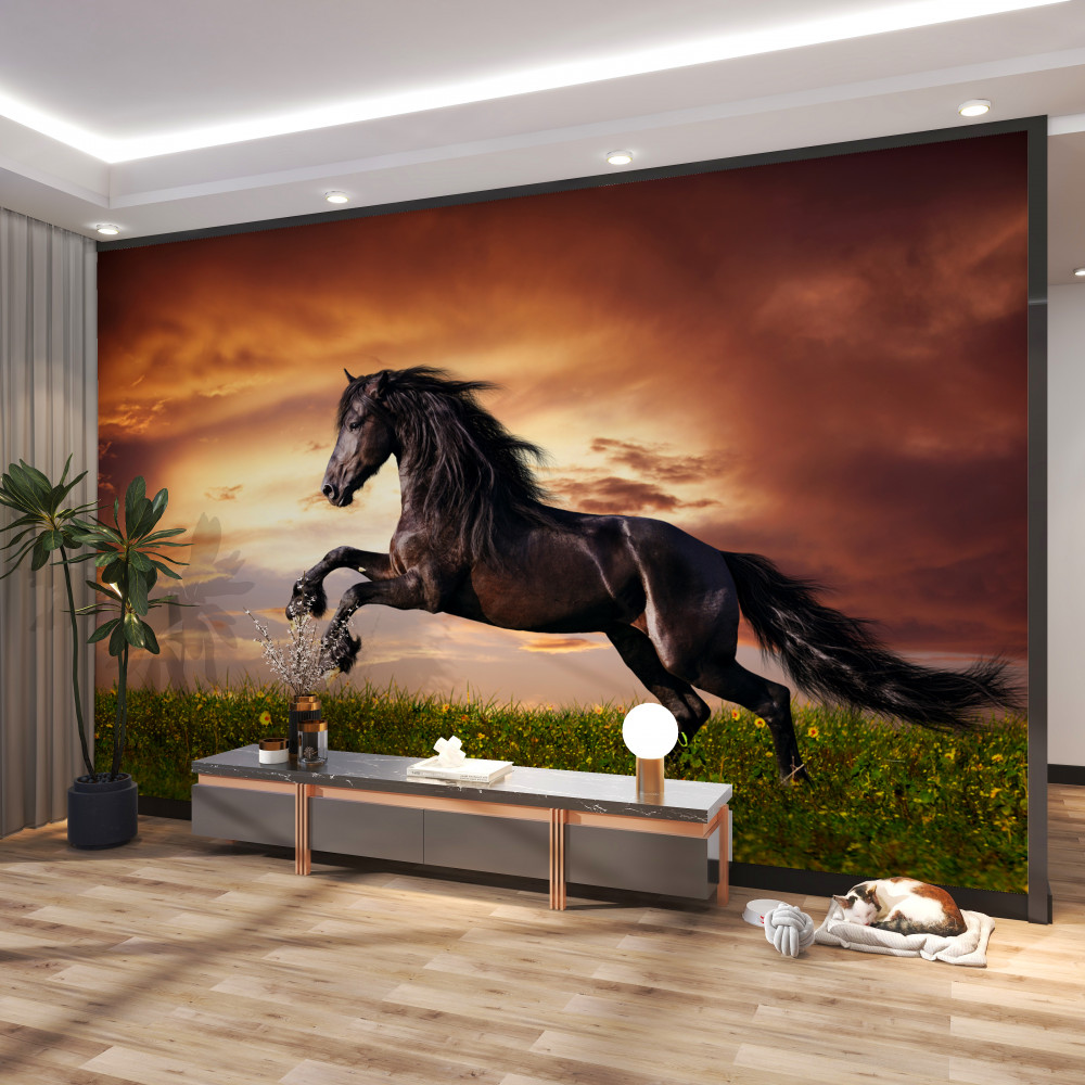 Fototapeta silny koń skaczący po trawie