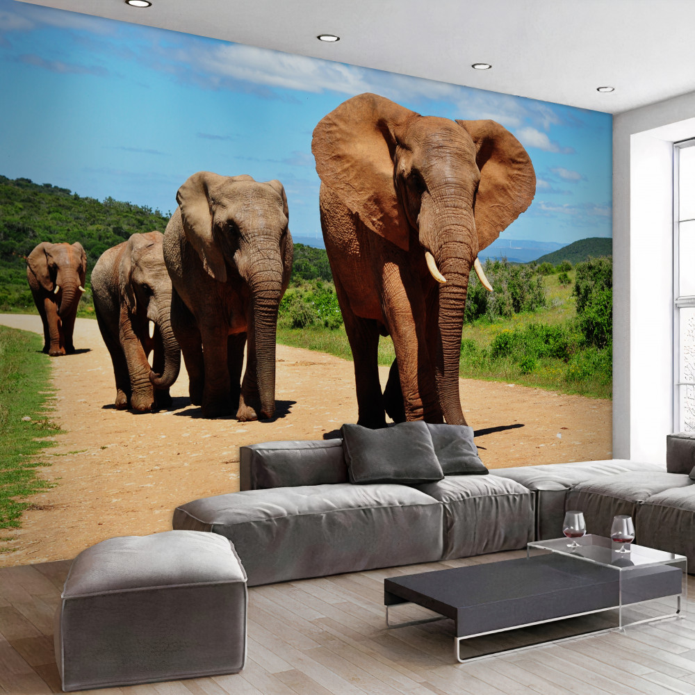 Fototapeta rodzina słoni wraca do domu wzdłuż piasku