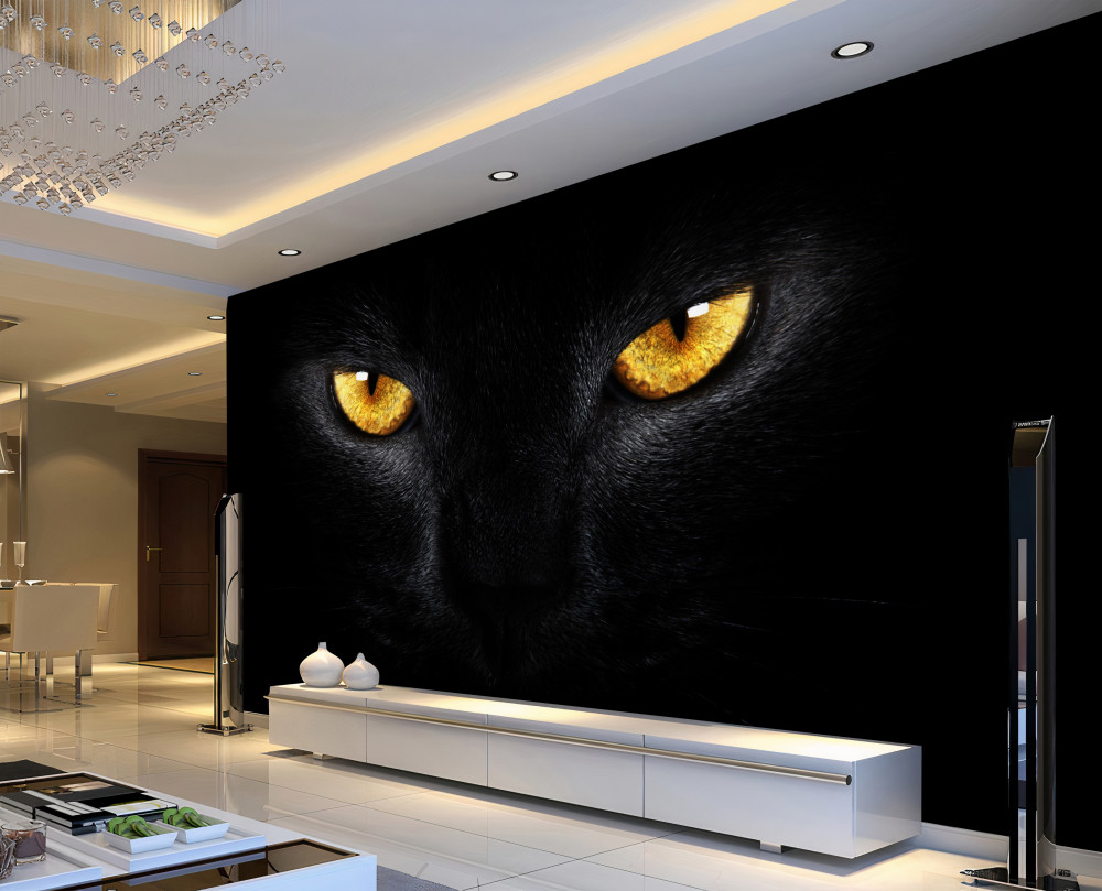 Fototapeta ostre spojrzenie czarnego kota