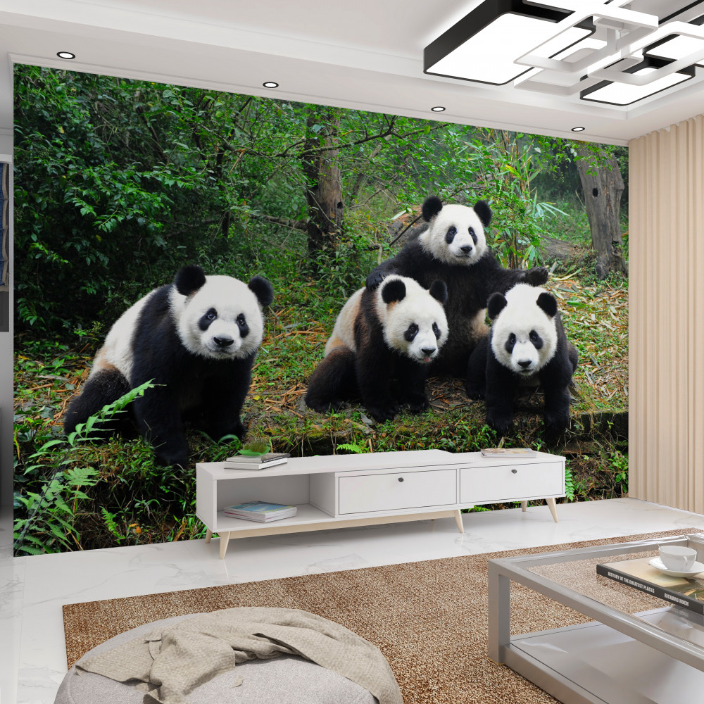 Fototapeta urocza rodzina pand na wakacjach