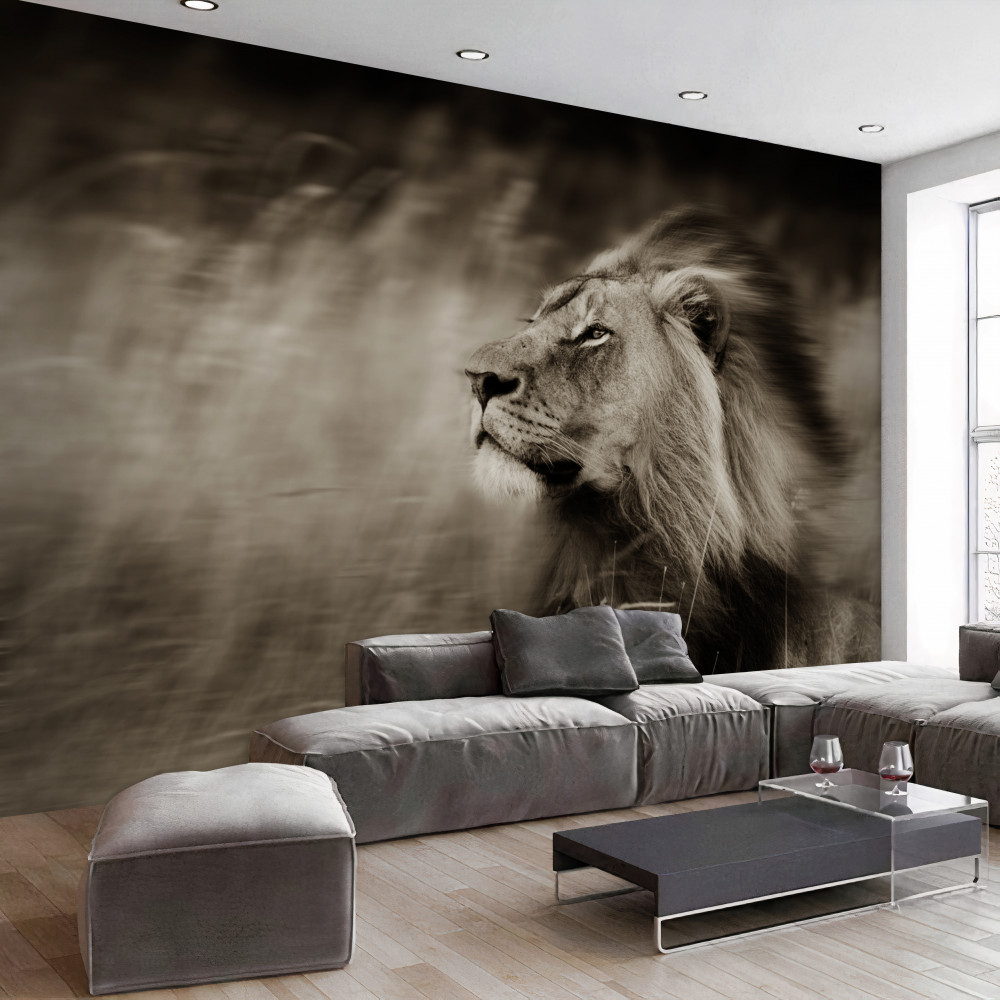 Fototapeta król zwierząt w czarno-białym wietrze