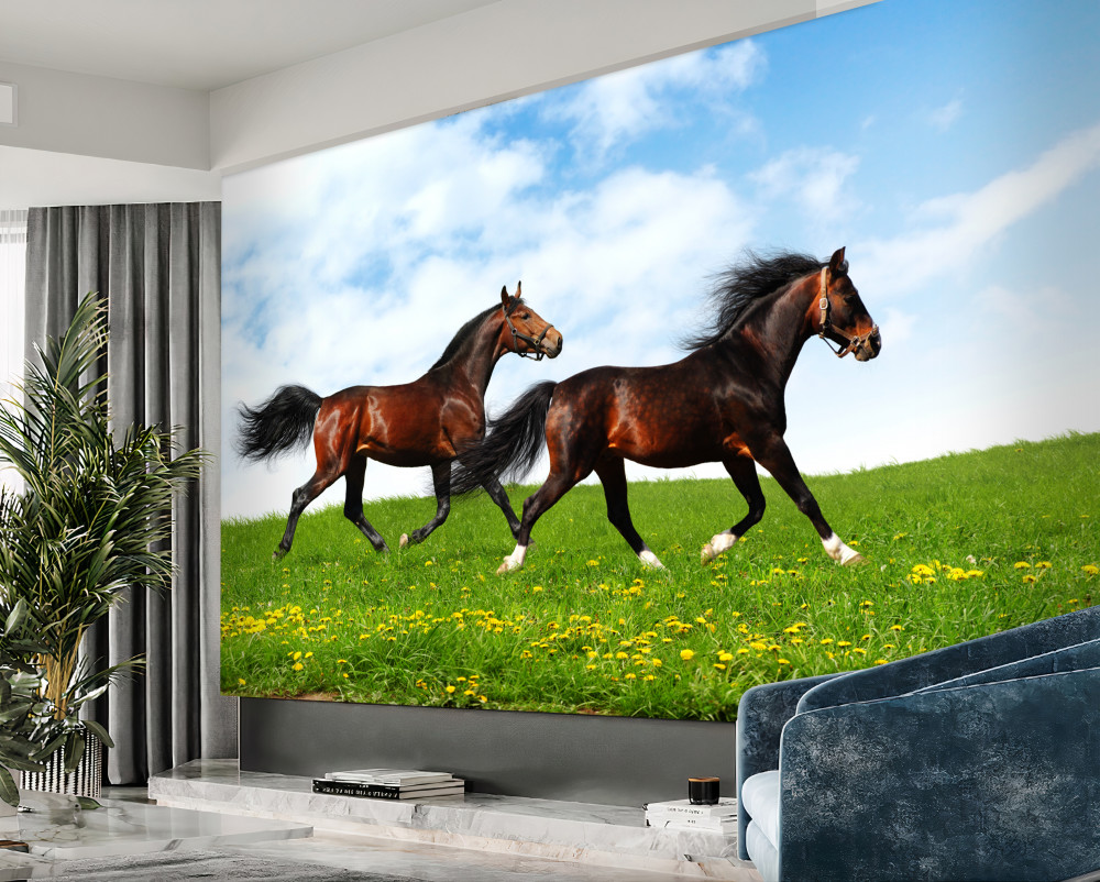 Fototapeta poranny koń biegnie przez łąkę