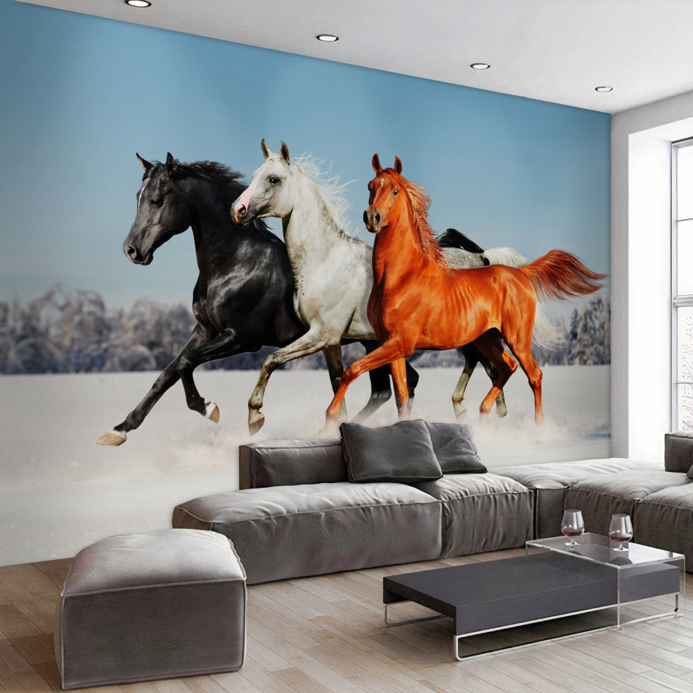 Fototapeta trzy konie galopujące po śniegu