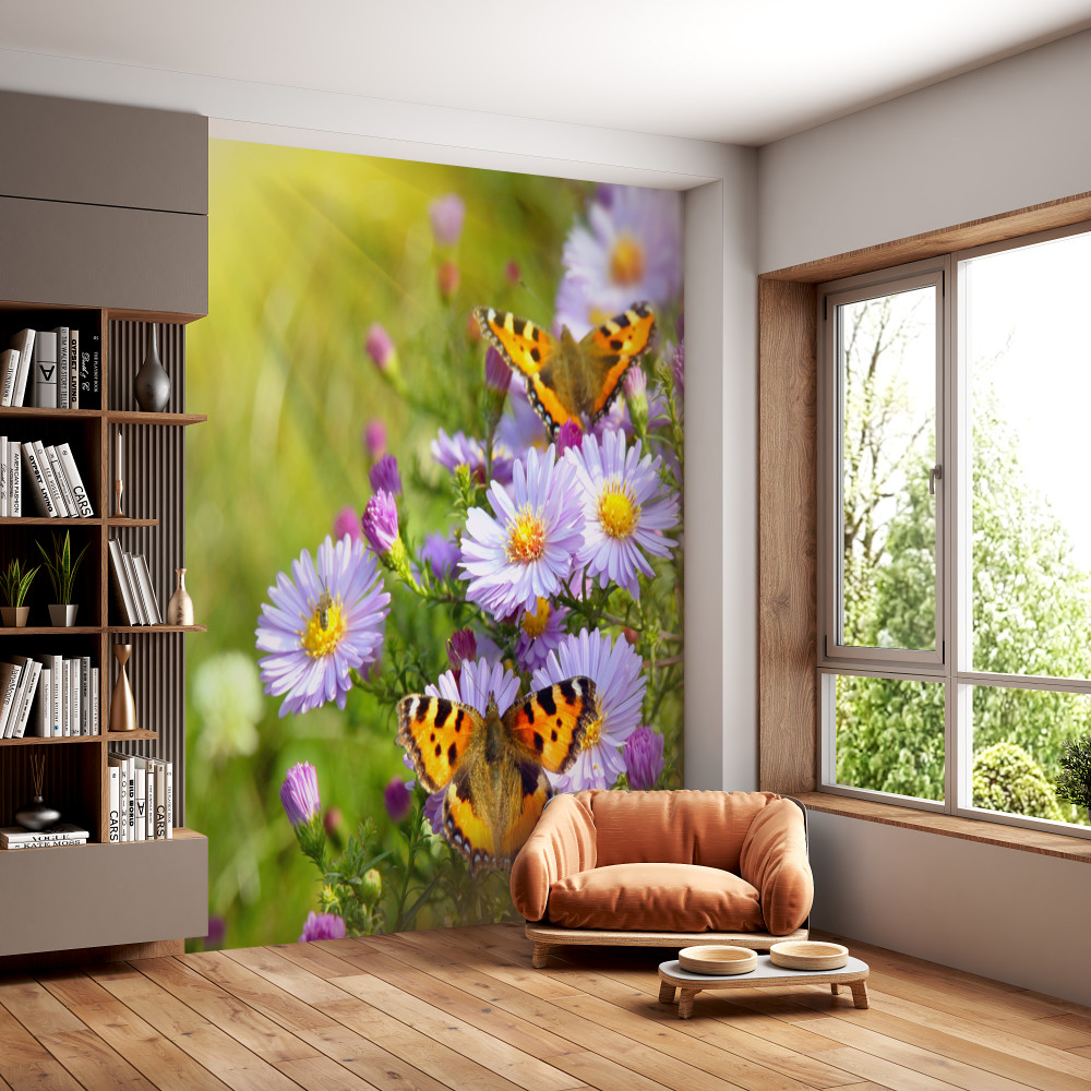 Fototapeta pole niebieskich stokrotek i motyli