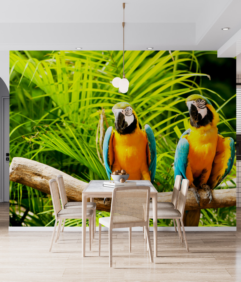 Fototapeta rodzina papug ara na gałęzi w zieleni