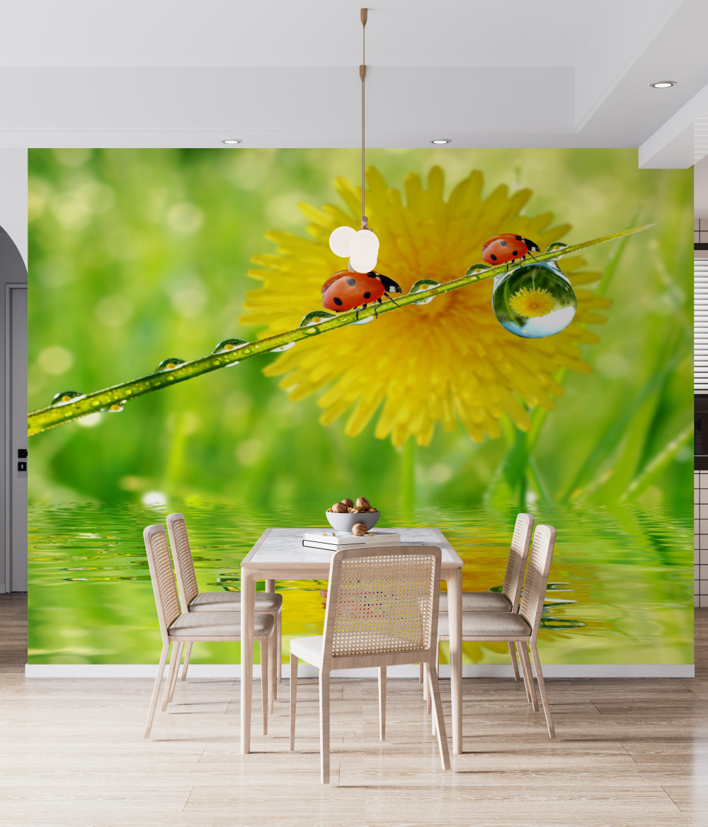 Fototapeta robaki po deszczu