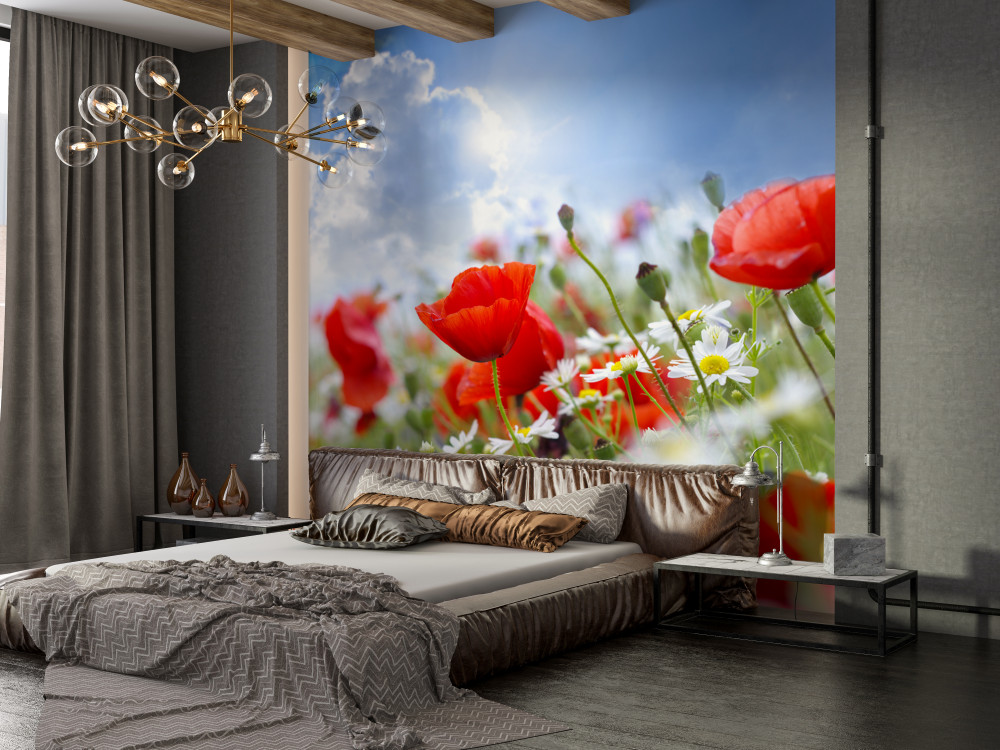 Fototapeta jasne dzikie kwiaty z makami