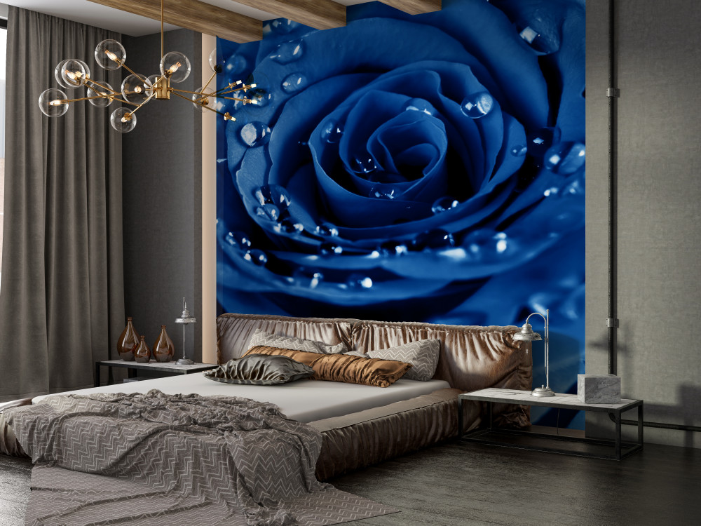 Fototapeta niebieska róża w kroplach wody