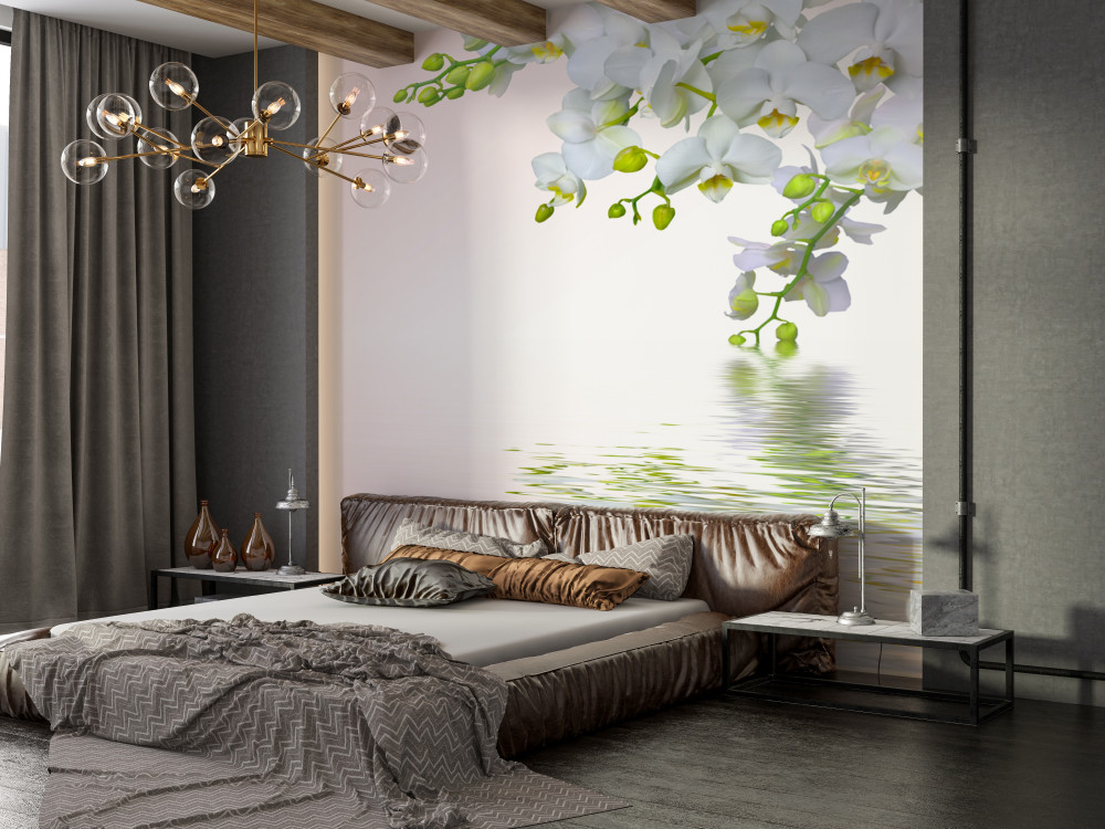 Fototapeta śnieżnobiałe kwiaty orchidei o świcie