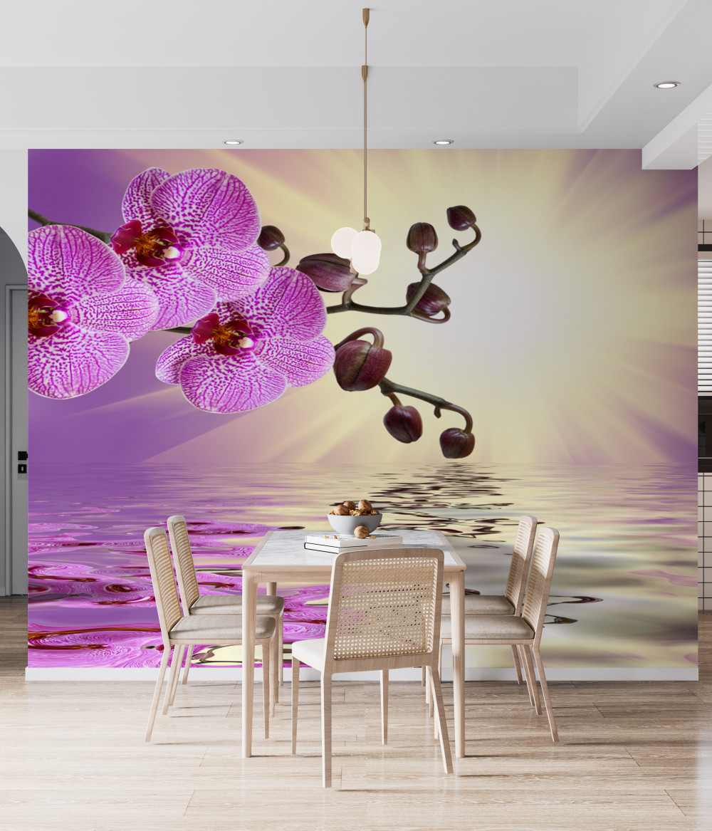 Fototapeta orchidea odbicie w wodzie