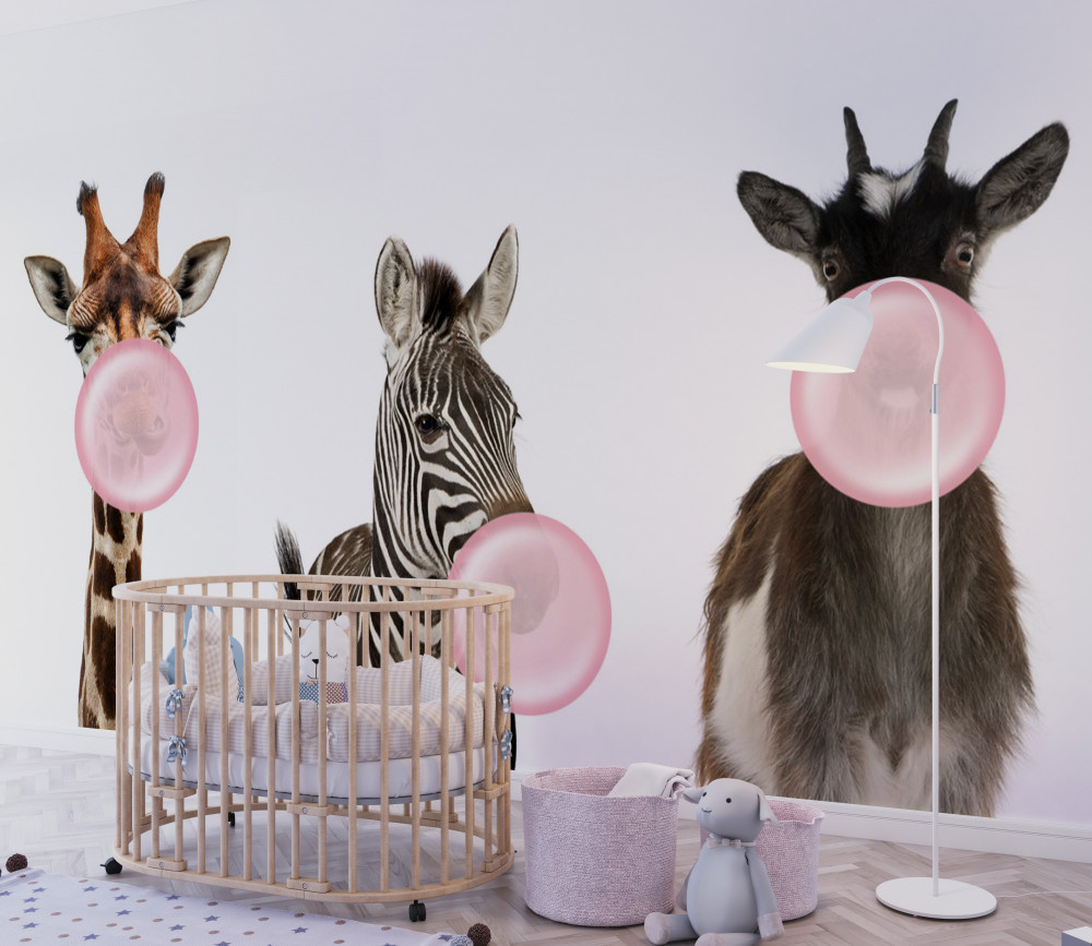 Fototapeta zwierzęta dmuchające gumę