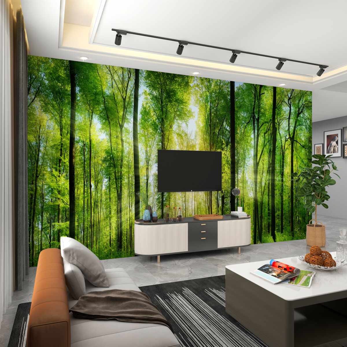 Fototapeta Promienie słońca przechodzą przez drzewa