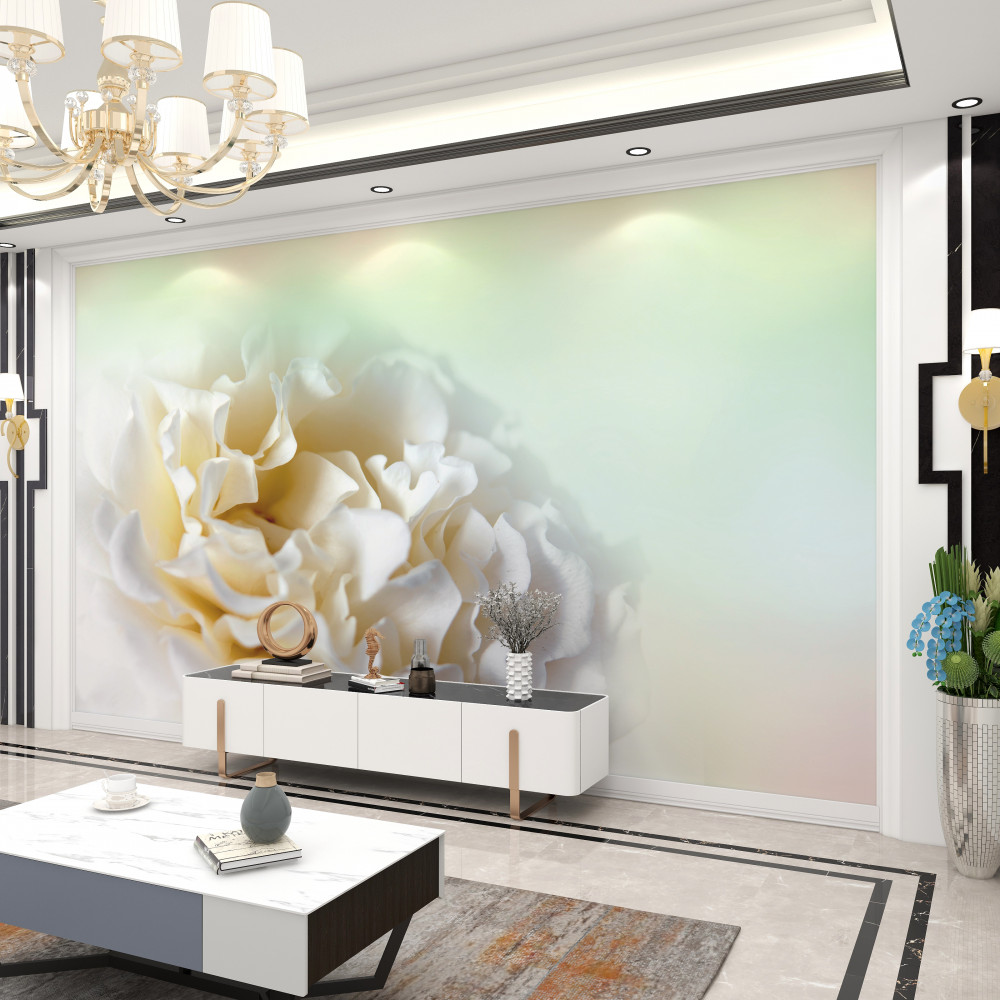 Fototapeta puszyste kremowe tło piwonii