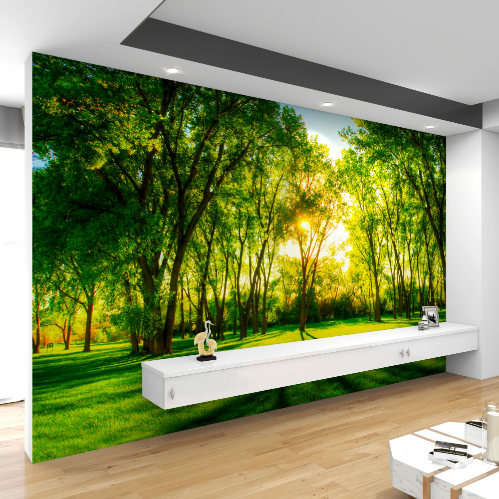 Fototapeta jasne kolory zieleni w porannym lesie