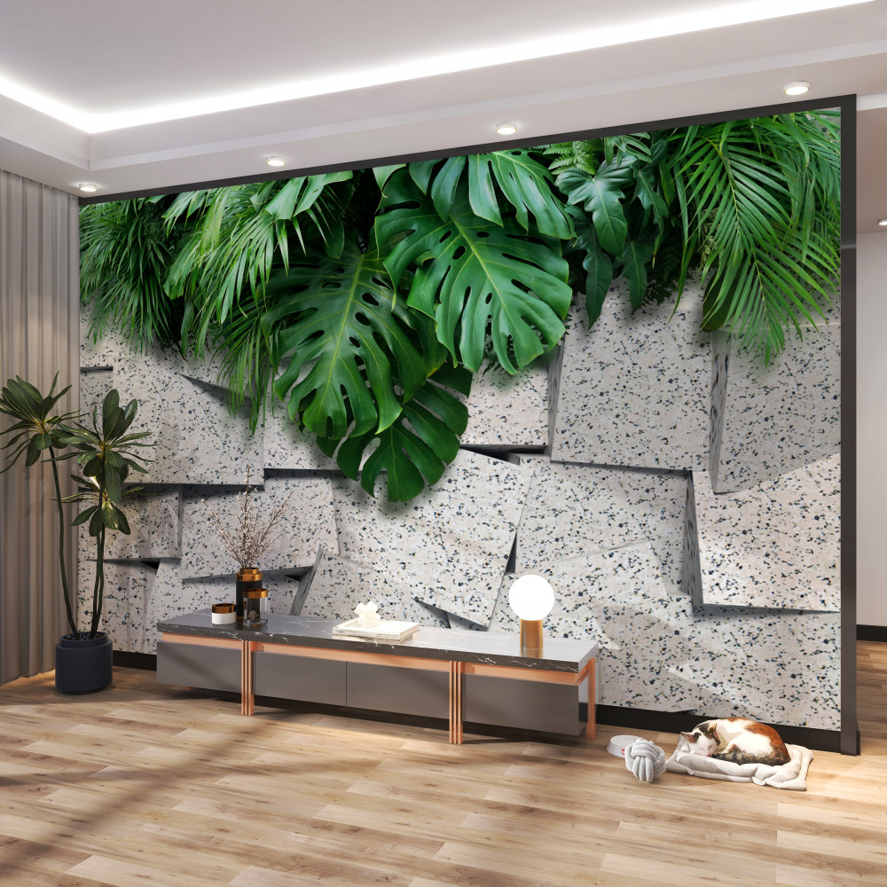 Fototapeta tropikalna monstera na szarym tle