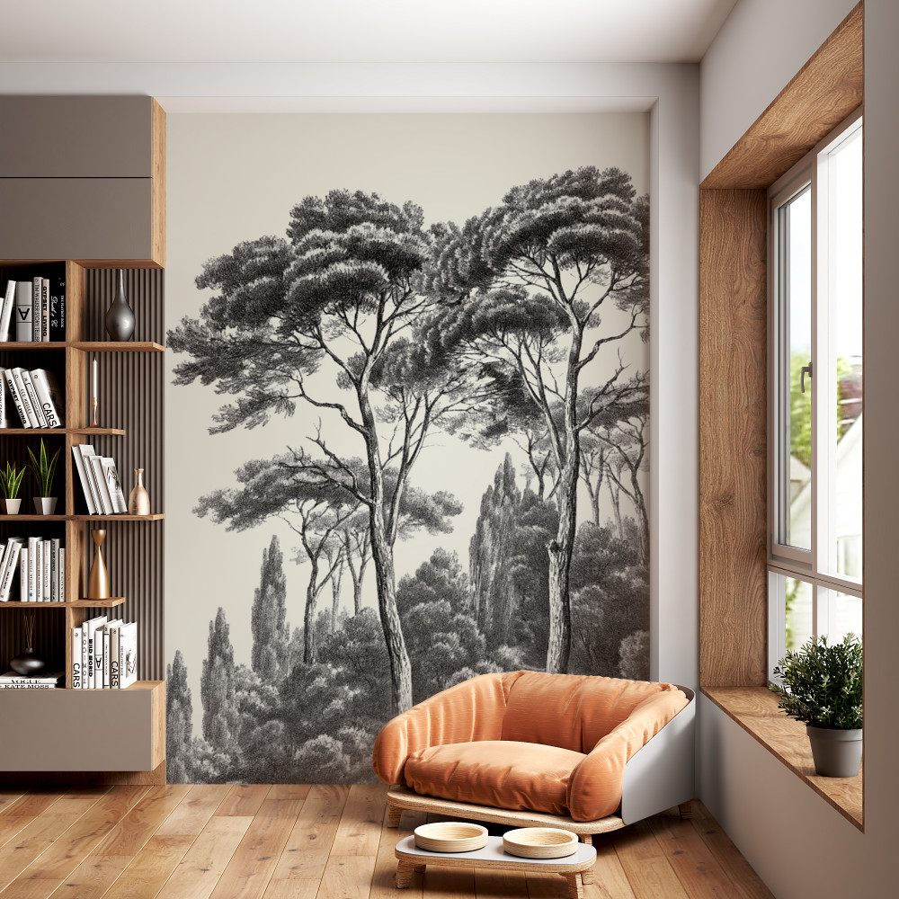 Fototapeta Czarno-białe włoskie sosny