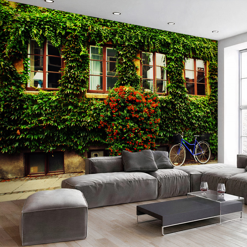 Fototapeta stary dom porośnięty bluszczem