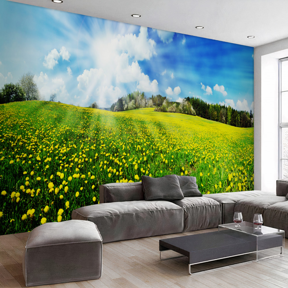 Fototapeta pole mniszka lekarskiego