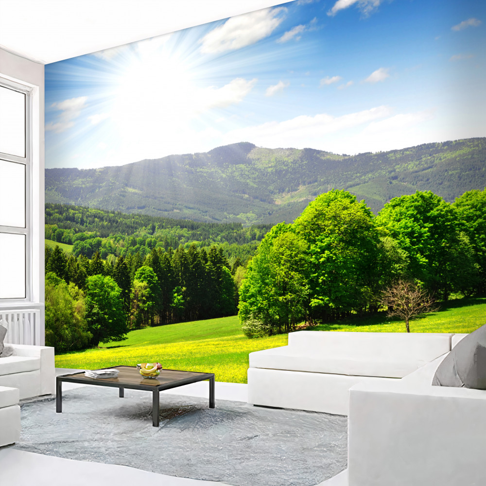 Fototapeta słońce jest w zenicie nad zieloną łąką