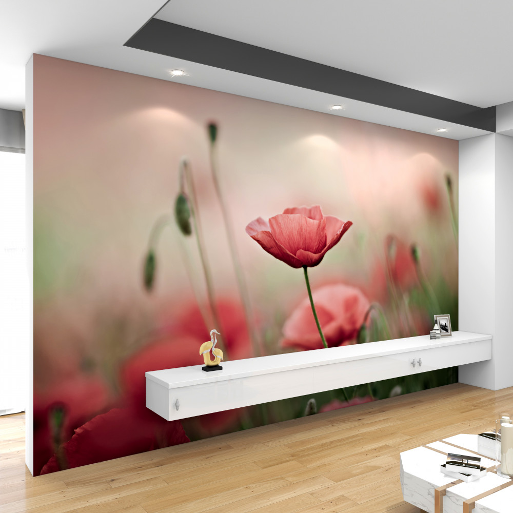 Fototapeta kruche, samotne maki