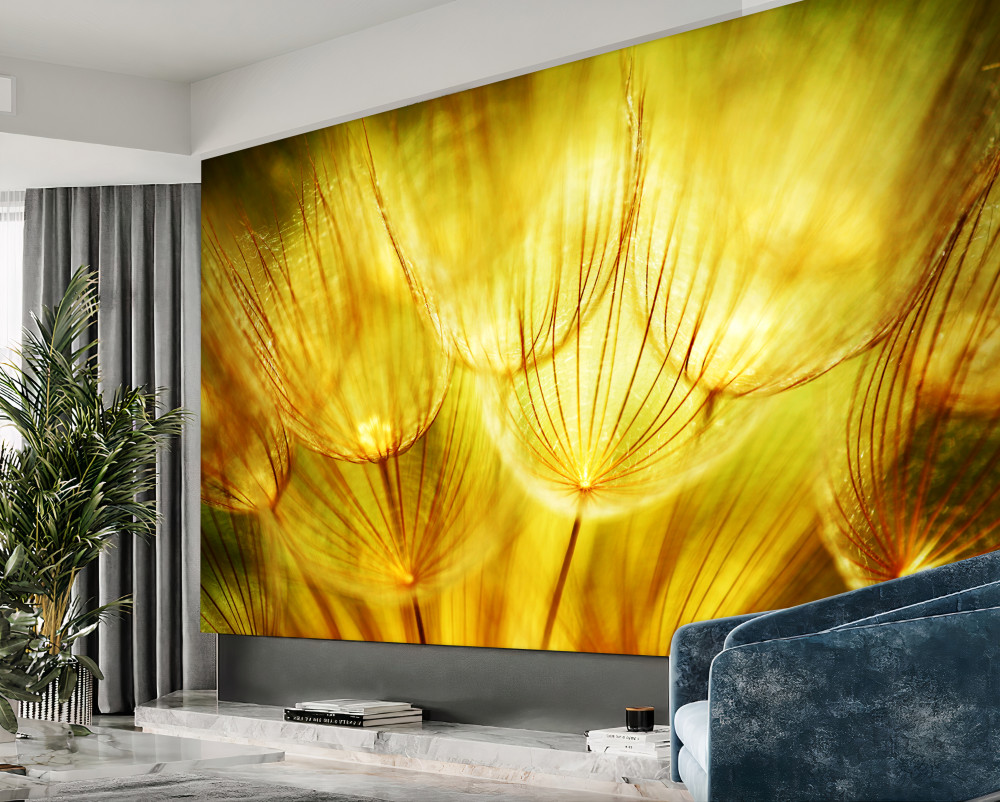 Fototapeta złote serce mniszka lekarskiego