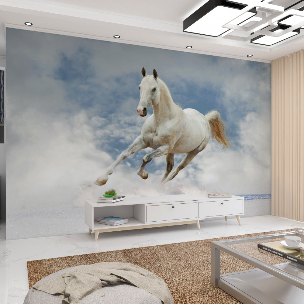 Fototapeta biały koń galopuje