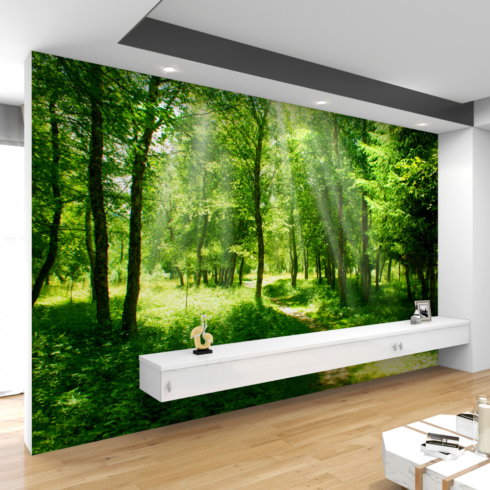 Fototapeta Jasne promienie słońca przecinały korony lasów