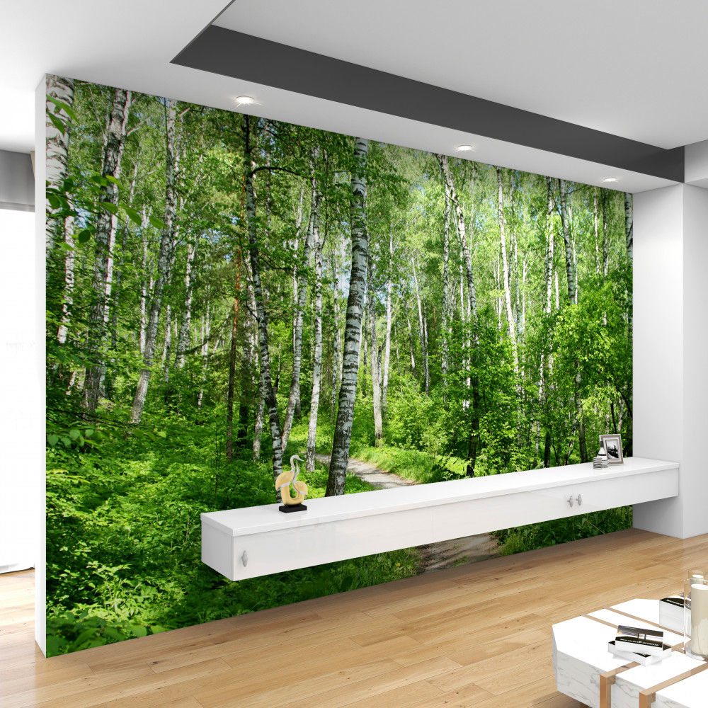 Fototapeta ścieżka w letnim gaju brzozowym