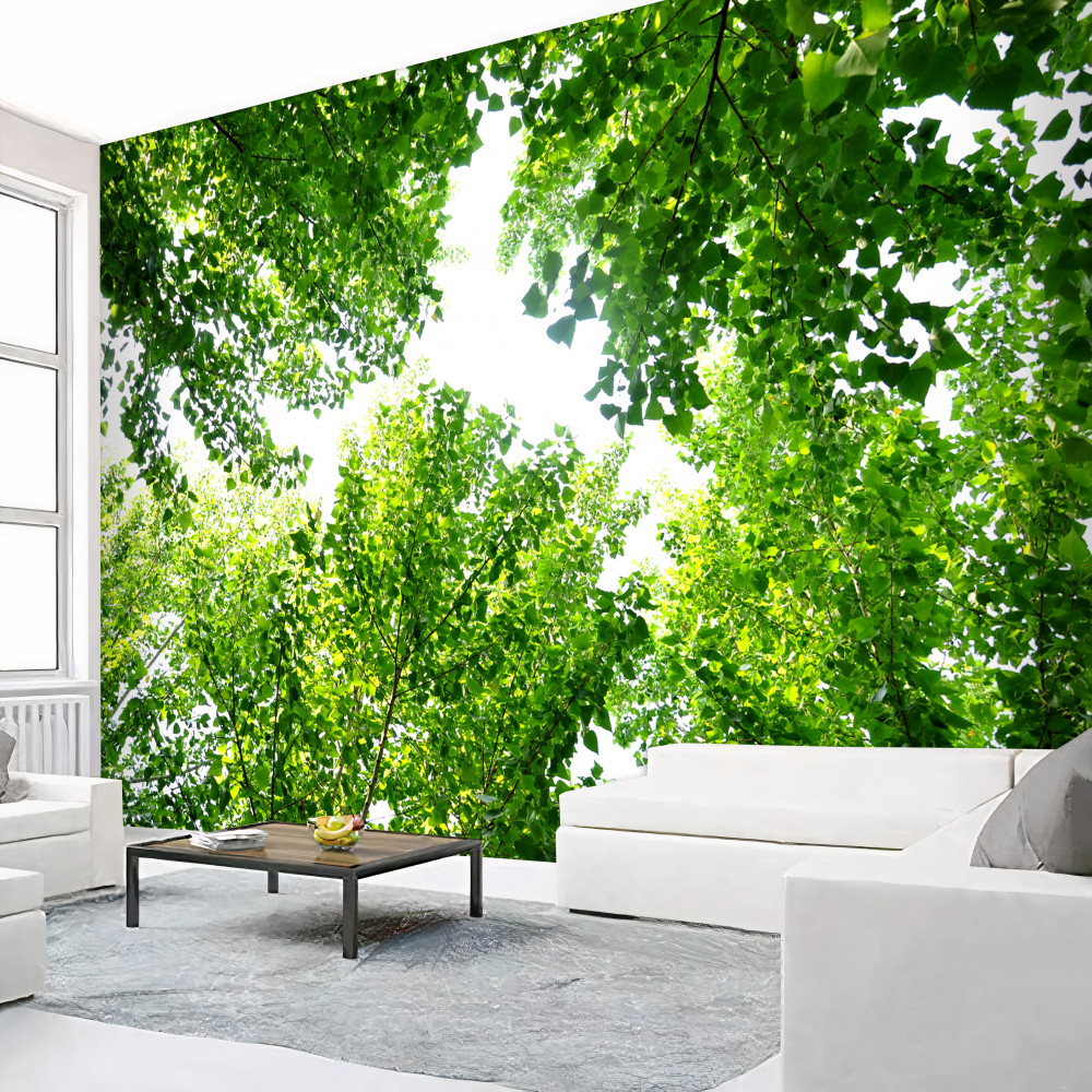 Fototapeta zielone liście na tle białego nieba