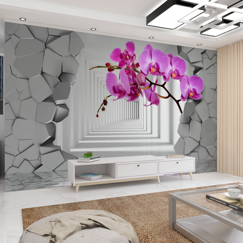 Fototapeta gałąź orchidei rozbija ścianę