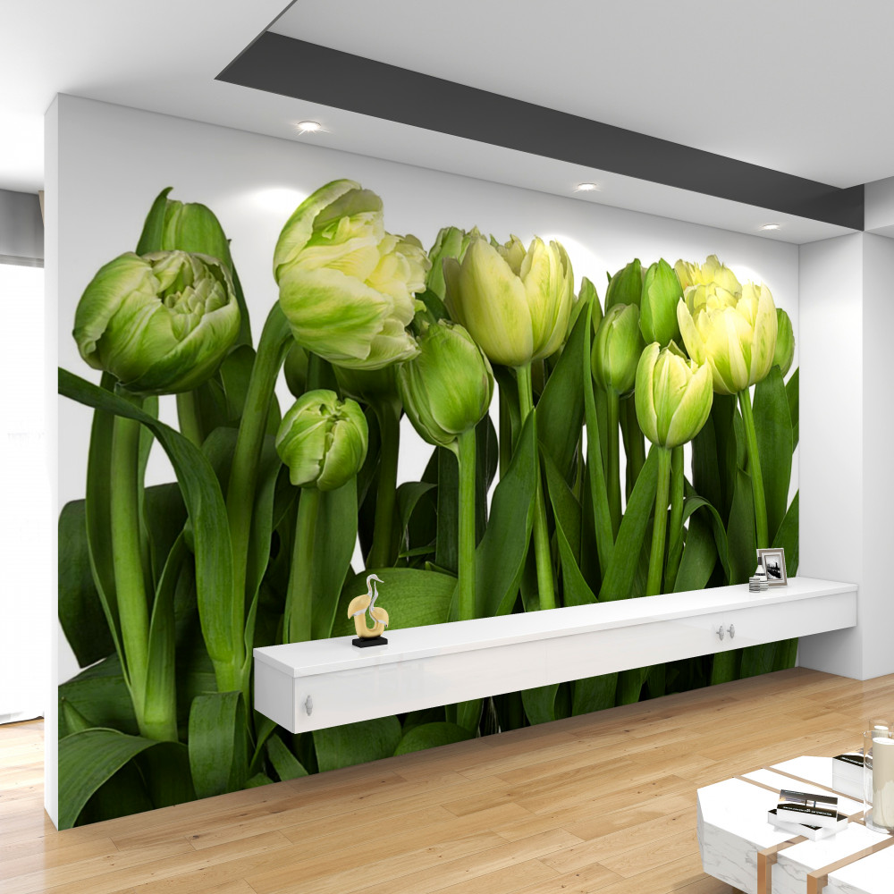 Fototapeta bukiet otwartych półzamkniętych tulipanów