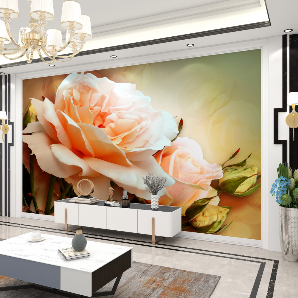 Fototapeta kwitnienie i pąki róż