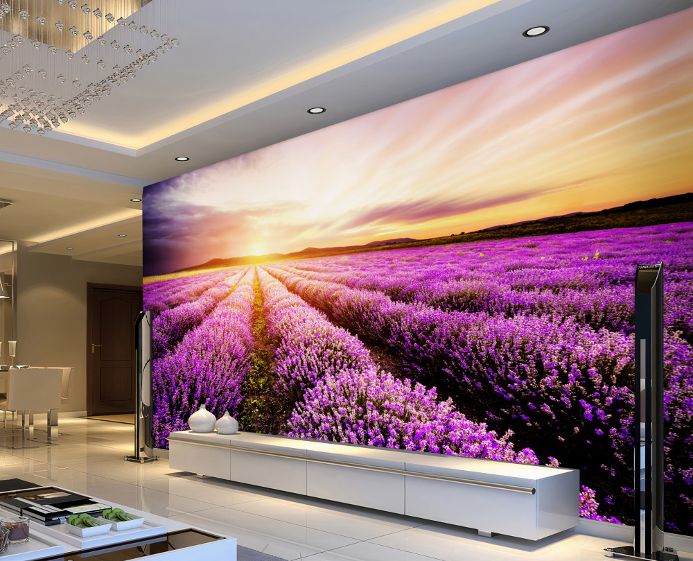 Fototapeta pole lawendy o zachodzie słońca