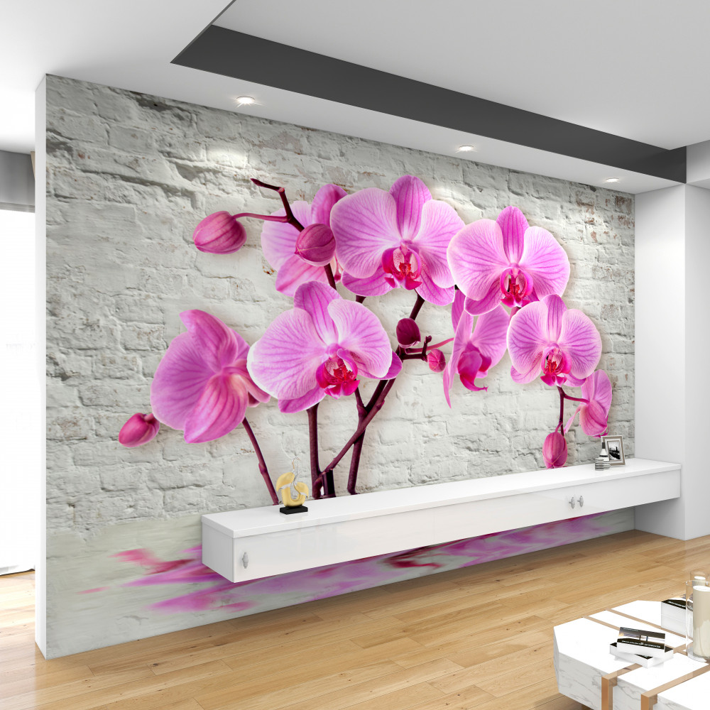 Fototapeta miękkie liliowe orchidee