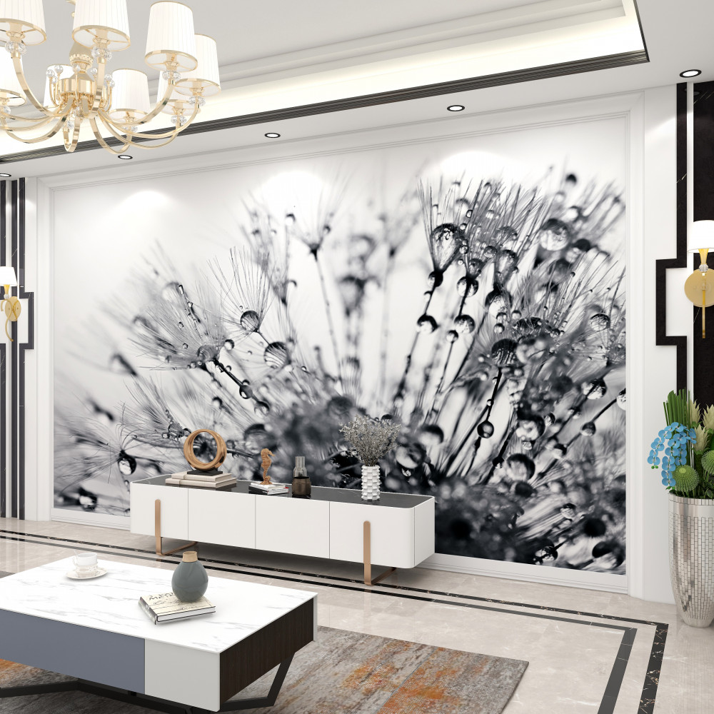 Fototapeta krople rosy na mniszku lekarskim