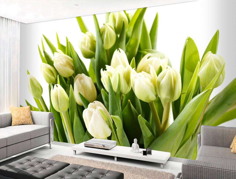 Fototapeta bukiet białych tulipanów