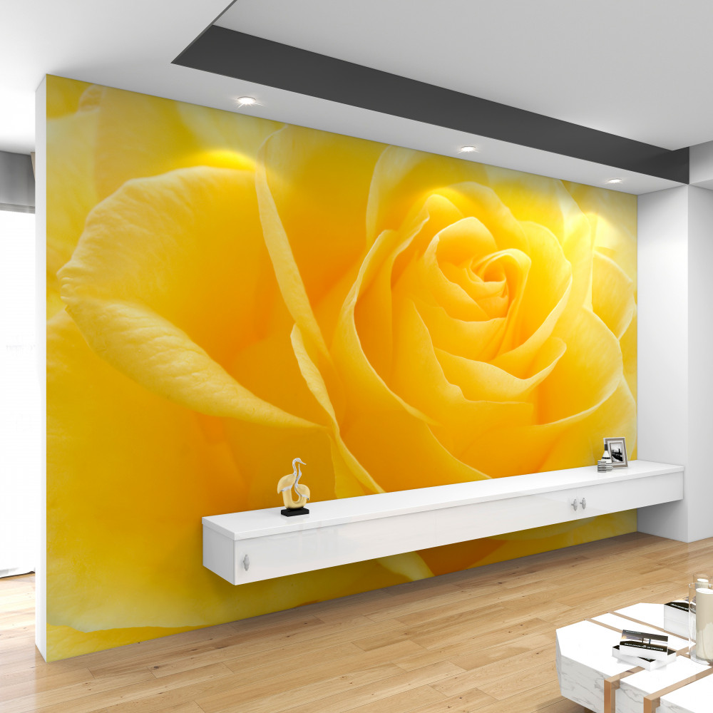 Fototapeta żółta róża na zdjęciu makro