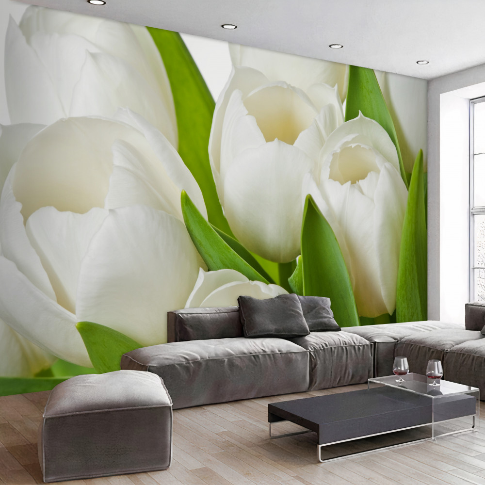 Fototapeta wspaniałe białe tulipany