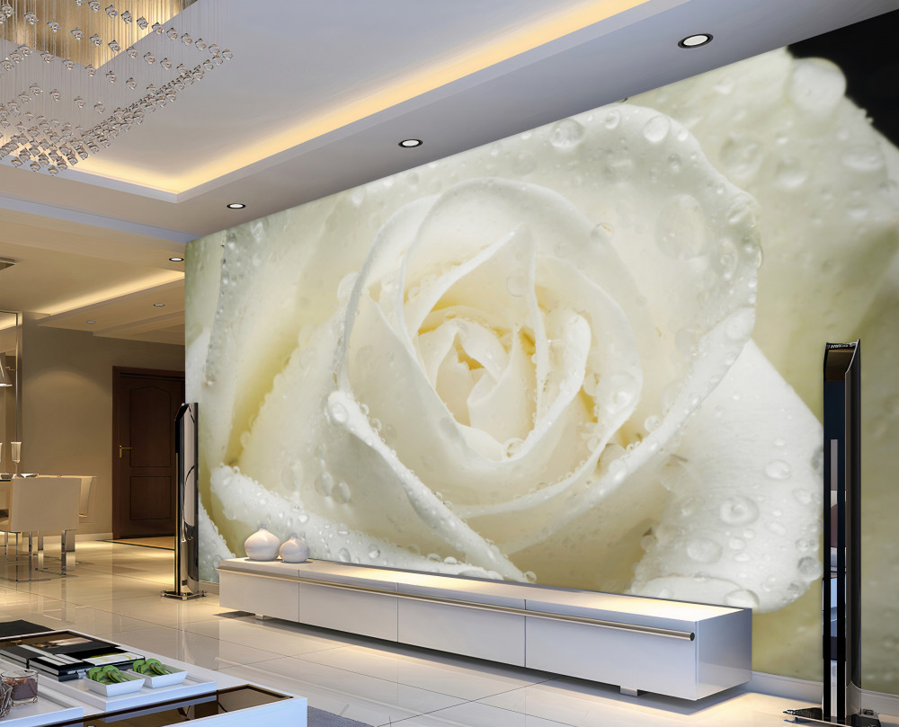 Fototapeta biała róża w porannej rosie