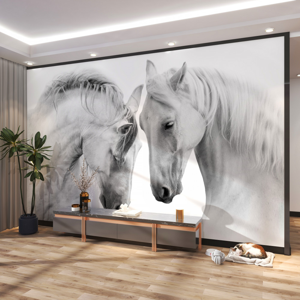 Fototapeta białe konie komunikują się