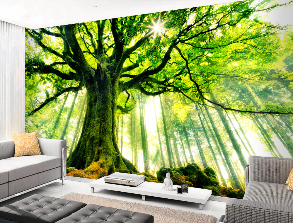 Fototapeta potężne drzewo życia spotyka świt