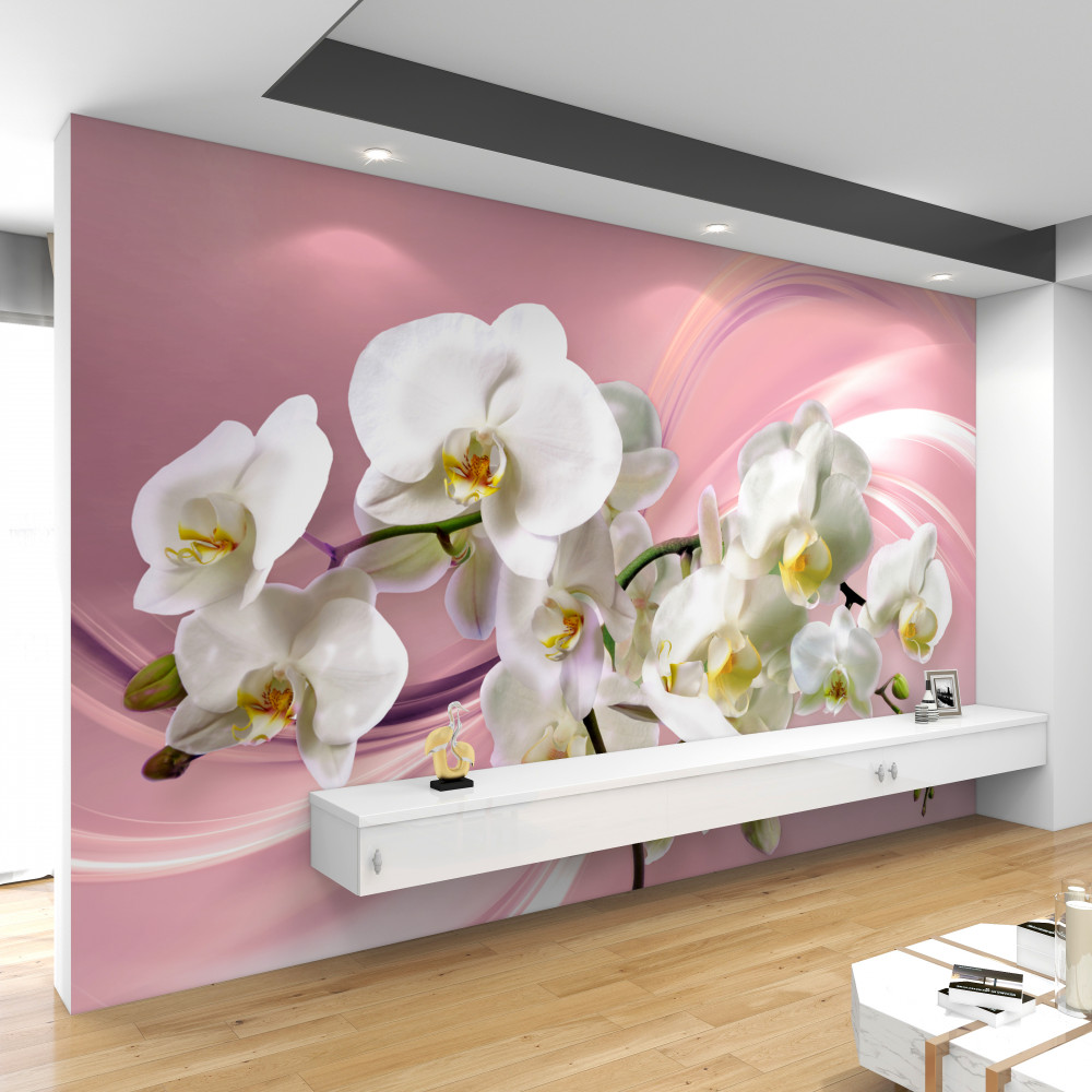 Fototapeta duże białe orchidee na różowym tle